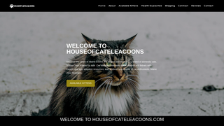Thumbnail of houseofcateleacoons.com