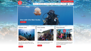 Thumbnail of chewanscubatenggol.com