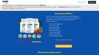 Thumbnail of sleepleaann.com