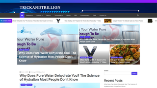 Thumbnail of trickandtrillion.com