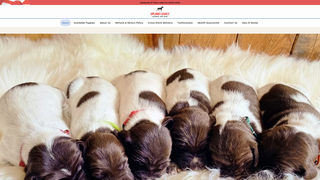 Thumbnail of alphagsp.com