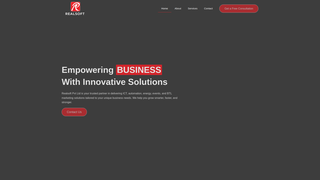 Thumbnail of realsoftpvtltd.com