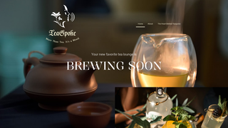 Thumbnail of teaspoke.com