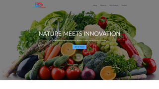 Thumbnail of bejaiageneralindustries.com
