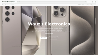 Thumbnail of wauzuelectronics.com