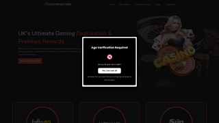 Thumbnail of bestsportsbettingie.com