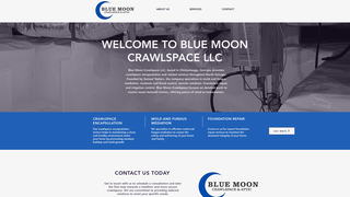 Thumbnail of bluemooncrawlspace.com