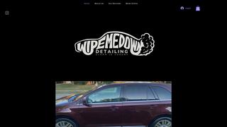 Thumbnail of wipemedowndetail.com
