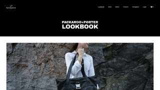 Thumbnail of packarooporter.com
