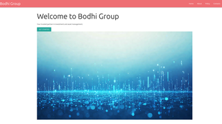 Thumbnail of bodhigroupers.com