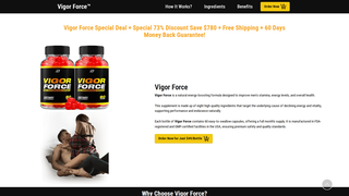 Thumbnail of en-en-vigorforce.com