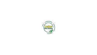 Thumbnail of ledorplantbuddies.com