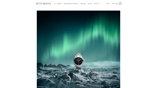 Thumbnail of betsylbridge.com