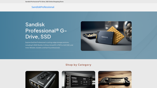 Thumbnail of sandisk-professional.com