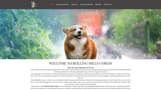 Thumbnail of rollinghillscorgis.com