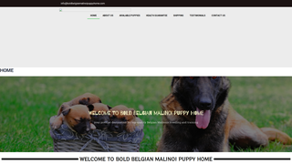 Thumbnail of boldbelgianmalinoipuppyhome.com