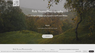 Thumbnail of robyoungphotography.com