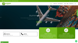 Screenshot of aummexexim.com