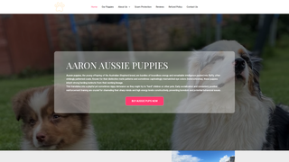 Thumbnail of aaronaussiepups.com