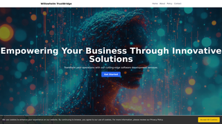 Thumbnail of willowtrustx.com