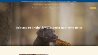Thumbnail of brightviewslabradorretrievershome.com