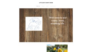 Thumbnail of littlebithairyfarm.com