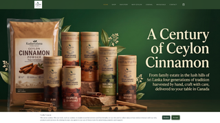 Site preview