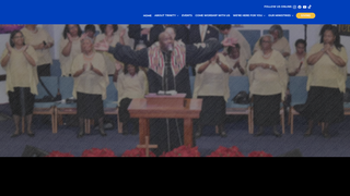 Thumbnail of trinitycolumbuscares.org