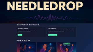 Screenshot of playneedledrop.com