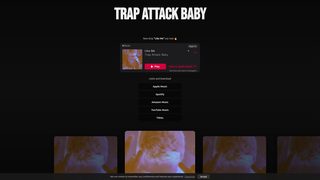Thumbnail of trapattackbaby.com