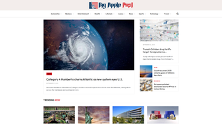 Thumbnail of bigapplepost.com