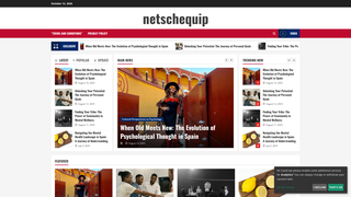 Thumbnail of netschequip.com