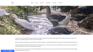 website thumbnail