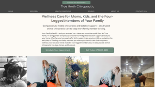 Thumbnail of truenorthwellnesswi.com