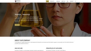 Thumbnail of anavesco.com