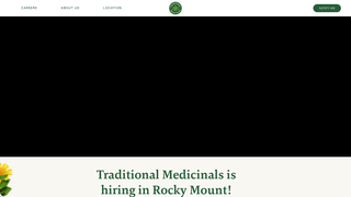 Thumbnail of tmjobsva.com
