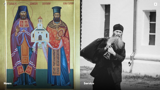 Thumbnail of brotherhoodofnikola.com