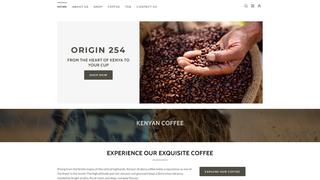 Thumbnail of origin254.com
