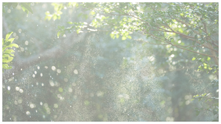 Thumbnail of atelier-uka.com