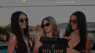 Thumbnail of zetdisposable.com