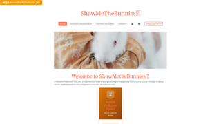 Thumbnail of showmethebunnies.net