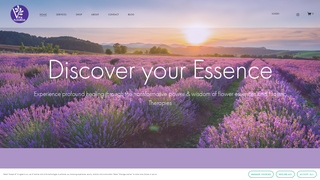 Thumbnail of viva-flourish.com