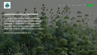 Thumbnail of copaceticenvironmental.com