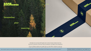 Thumbnail of sasssourcing.com