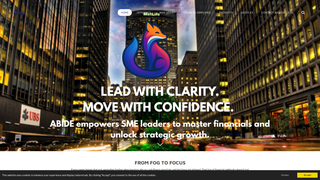 Thumbnail of abidefs.com