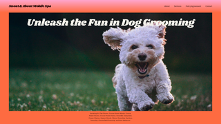 Thumbnail of snoutandaboutgrooming.com