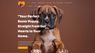 Thumbnail of budjetfriendlyboxers.com