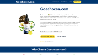 Thumbnail of goechoen.com