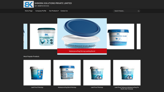 Thumbnail of shinorasolutions.com