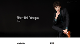 Thumbnail of albertdelprincipio.com